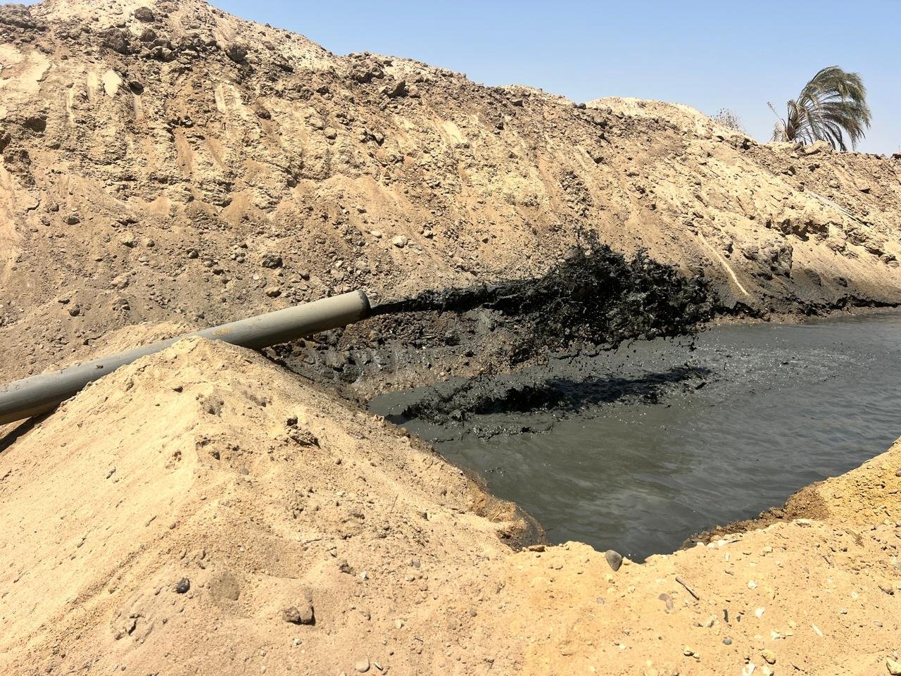 WhatsApp Image 2024-11-23 at 1.50.43 PM