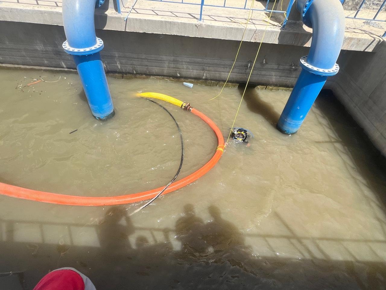 WhatsApp Image 2024-11-23 at 2.20.30 AM (1)